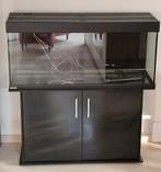 Volledig Eheim aquarium met onderkast, o.a. CO2 en LED., Dieren en Toebehoren, Ophalen, Gebruikt