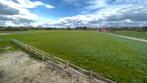 Weide te huur voor paarden 85a, Dieren en Toebehoren, Stalling en Weidegang, Weidegang, 4 paarden of pony's of meer