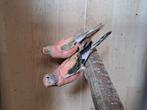 Opaline split pale fallow bourkes parkiet, Dieren en Toebehoren, Vrouwelijk, Parkiet, Geringd
