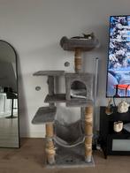 Krabkaal kat, Dieren en Toebehoren, Ophalen of Verzenden, Gebruikt