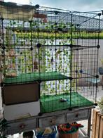 Kattenkooi, Dieren en Toebehoren, Vogels | Hokken en Kooien, Ophalen, Zo goed als nieuw