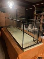 Aquarium, Enlèvement, Comme neuf