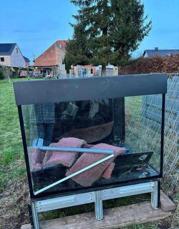 vissen aquarium beschikbaar voor biedingen