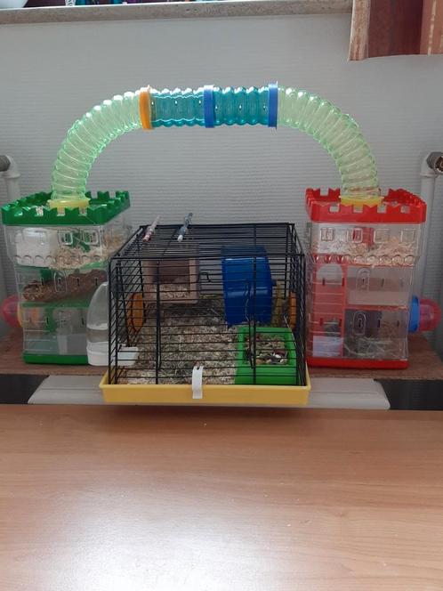 Kooi voor hamsters, Animaux & Accessoires, Rongeurs & Lapins | Cages & Clapiers, Comme neuf, Cage, Hamster, Enlèvement ou Envoi