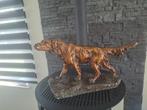 Statues chien, Jardin & Terrasse, Enlèvement