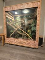 Groot terrarium boa constrictor slang (koopje), Dieren en Toebehoren, Slang, Met terrarium, 0 tot 2 jaar