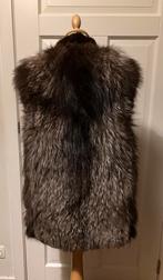 Bontjas, bont gilet vos, Ophalen of Verzenden, Gedragen, Maat 38/40 (M)