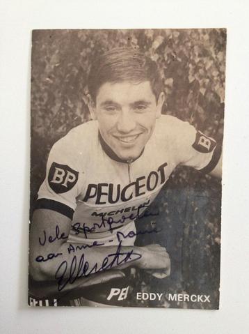 Carte postale Eddy Merckx