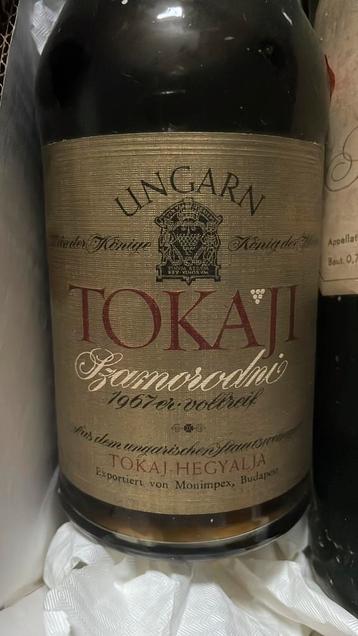 Tokay beschikbaar voor biedingen