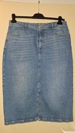 Rok jeans maat XXL (44-46) Blue Ridge, Kleding | Dames, Spijkerbroeken en Jeans, WEfashion, Blauw, Ophalen of Verzenden, Zo goed als nieuw