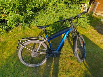 Riese & Muller speed pedelec 1.000 Wh maat L (45km/h) beschikbaar voor biedingen