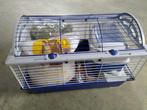 Vend cage et ustensiles pour cochon d'Inde, Moins de 60 cm, Cage, Utilisé, Hamster