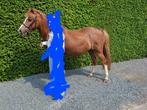 Mooie brave pony, Dieren en Toebehoren, C pony (1.27m tot 1.37m), Gechipt, 11 jaar of ouder, Merrie