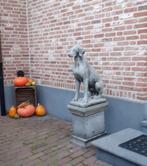 Engelse jachthonden op sokkel, Tuin en Terras, Tuinbeelden, Ophalen of Verzenden, Nieuw, Beton, Dierenbeeld