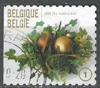 Belgie 2009 - Yvert 3963 /OBP 3981 - Kerstversiering (ST), Postzegels en Munten, Verzenden, Gestempeld, Gestempeld, Kerst