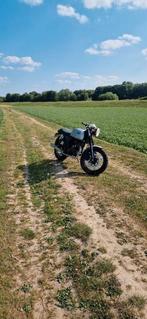 Mash 125 cc, Motoren, Particulier