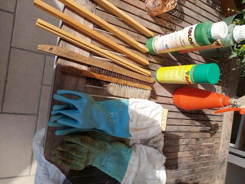 Imkermateriaal divers, Dieren en Toebehoren, Overige Dieren, Augustus