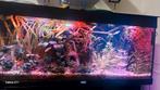 Aquarium 120 cm x 40 cm.  Er is een filter, verwarming en de, Dieren en Toebehoren, Vissen | Aquaria en Toebehoren, Ophalen of Verzenden