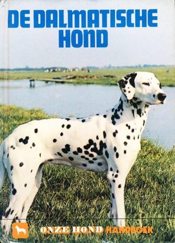 (d37) De Dalmatische Hond beschikbaar voor biedingen