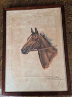 Ets van Léon Danchin, Enlèvement