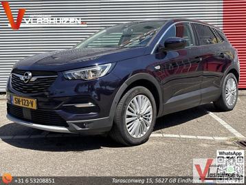 Opel Grandland X 1.2 Turbo Innovation | Cruise | Climate | N beschikbaar voor biedingen