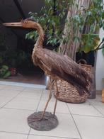 Opgezette reiger taxidermie, Ophalen, Vogel, Opgezet dier