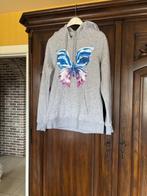 Grijze hoody met vlinderapplicatie, Meisje, Ophalen of Verzenden, Zo goed als nieuw, Miss Tee