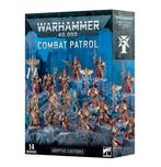 Set Complet Adeptus Custodes + Codex + Cartes techniques, Hobby & Loisirs créatifs, Enlèvement ou Envoi