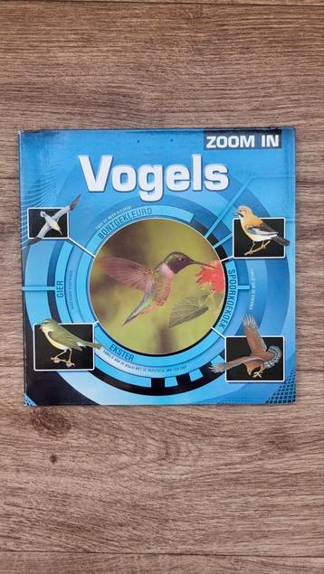 Zoom in: Vogels beschikbaar voor biedingen
