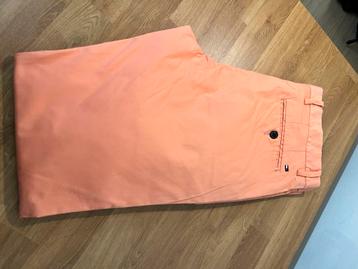 Tommy Hilfiger : pantalon chino taille W33/L32, Enlèvement ou Envoi, Comme neuf