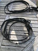 Teugels. STUBBEN, Dieren en Toebehoren, Ophalen