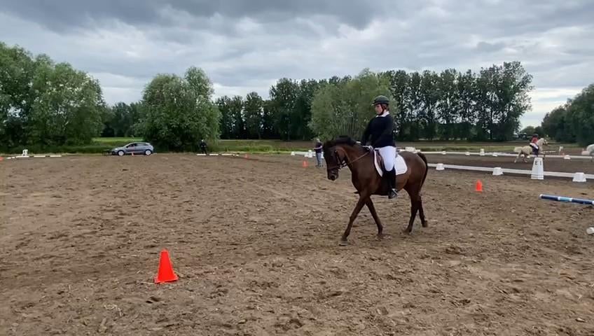 Test de bombe D-Pony à vendre