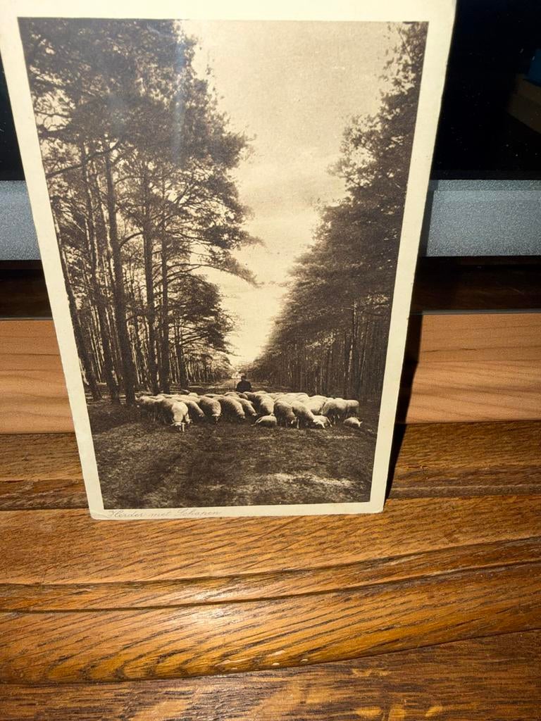 Nederland, Verzamelen, Ophalen of Verzenden, Voor 1920, Gelopen, Overige thema's