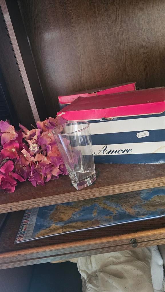 12 unieke drinkglazen met hartvormige bodem – in doos – idea, Dieren en Toebehoren, Vissen | Aquaria en Toebehoren, Ophalen