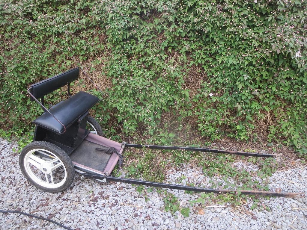 charrette, attelage âne, poney, Utilisé, Poney