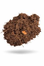 Gezeefde naaldbosgrond, Jardin & Terrasse, Enlèvement, Autres types