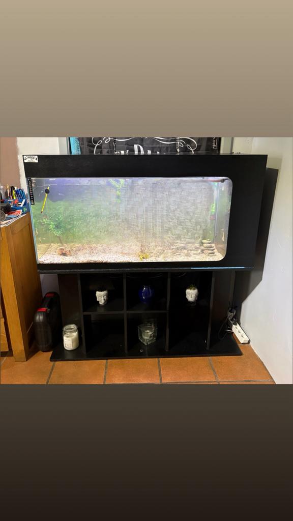 Aquarium, Enlèvement, Utilisé