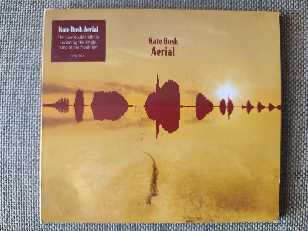 2 CD : KATE BUSH - VUE AÉRIENNE, CD & DVD, Enlèvement ou Envoi, Comme neuf