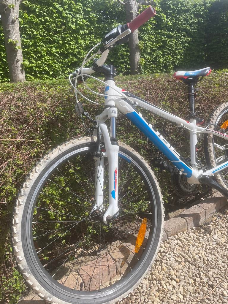 Cube 240 – 24 inch – Ideale MTB voor kids/jeugd, Fietsen en Brommers, Ophalen