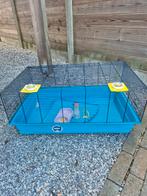Mooie grote hamsterkooi, Dieren en Toebehoren, Knaagdieren en Konijnen | Hokken en Kooien, Ophalen