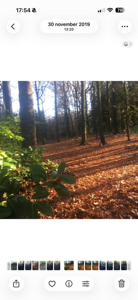 Chalet te huur in couvin, Propriétaire, Bois/Forêt, Campagne, Animaux domestiques acceptés