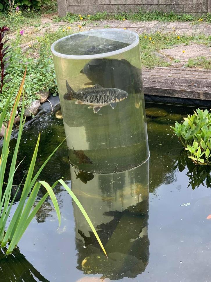 Polyester ton voor vijver - Koi kijker, Tuin en Terras, Vijver-toebehoren, Zo goed als nieuw, Overige typen, Ophalen
