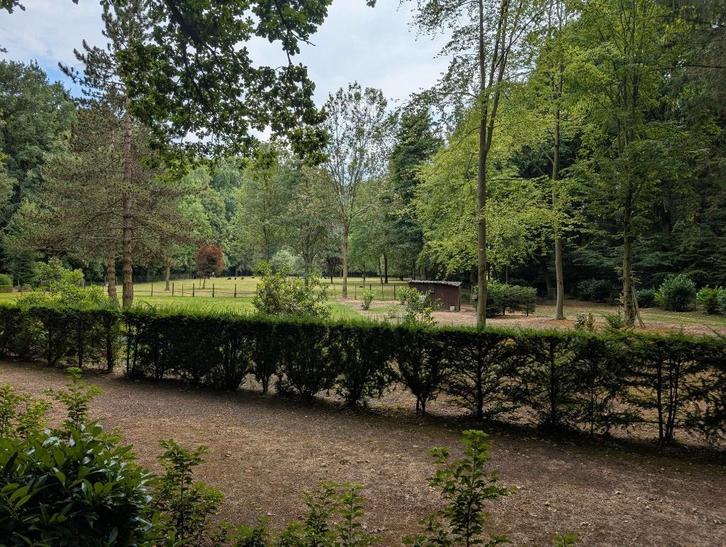 weide te huur, Dieren en Toebehoren, Stalling en Weidegang, 2 of 3 paarden of pony's