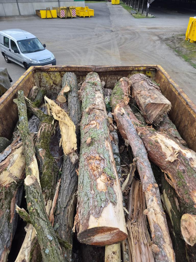 Brandhout te koop, Tuin en Terras, 6 m³ of meer, Ophalen of Verzenden, Stammen