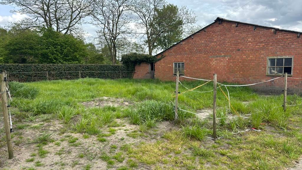 Weide met stal te huur, Weidegang, 1 paard of pony