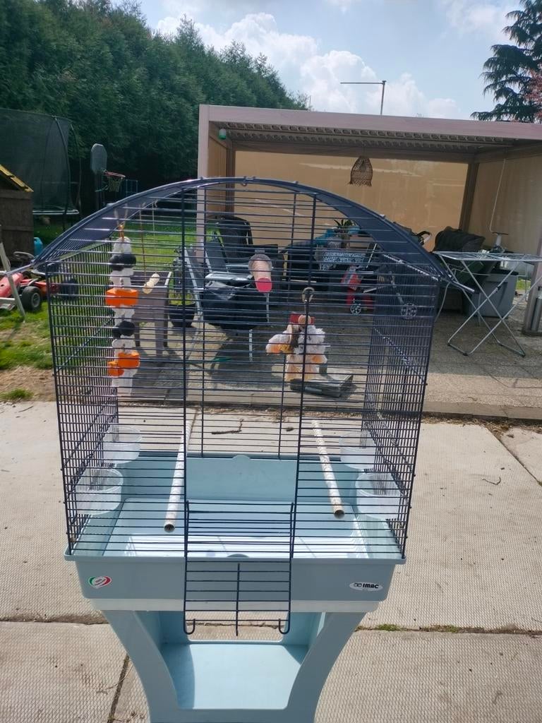 Vogelkooi op voet, Ophalen, Vogelkooi