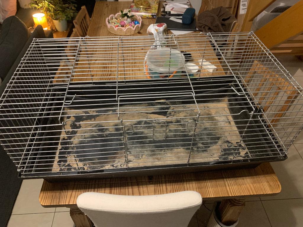 Grande cage lapin ou cochon d inde, Animaux & Accessoires, Enlèvement, Utilisé, Cage, Cobaye