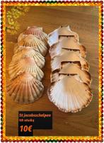 T Jacobsschelpen, Hobby en Vrije tijd, Knutselen, Ophalen of Verzenden