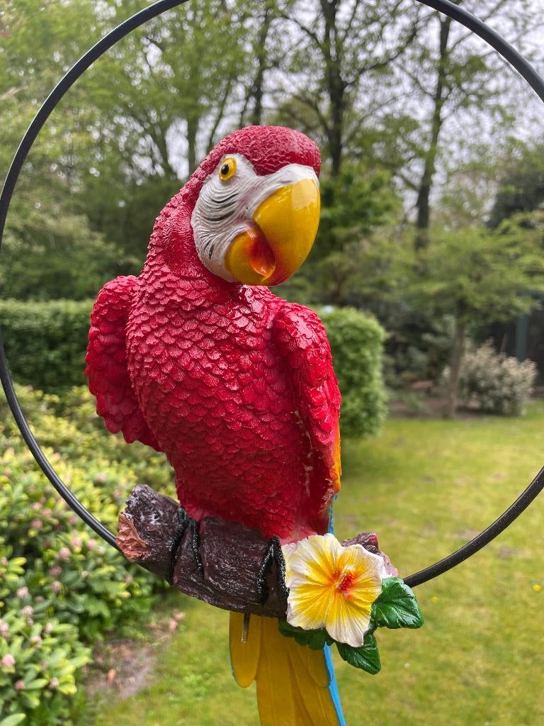Beeld papegaai Rood tuin, vijver, balkon 50cm, Ophalen of Verzenden, Nieuw, Kunststof, Dierenbeeld