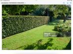 Travaux dans jardin - jardinage - jardinier, Services & Professionnels, Jardiniers & Paveurs